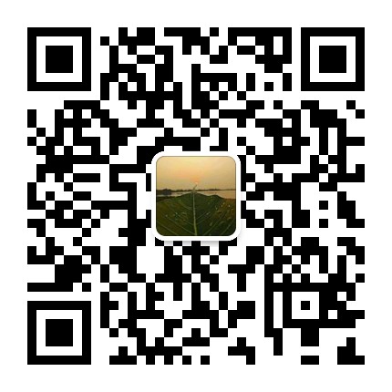 595999精准五码